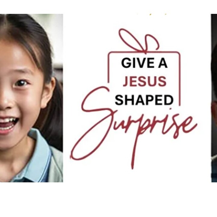 Surprise Campaign Pledge 2025 - logo